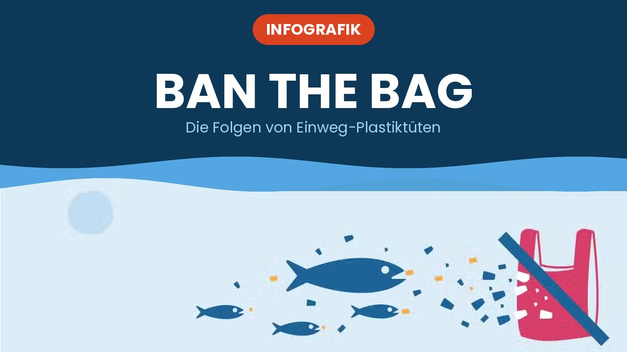 Ban the Bag – Infografik
