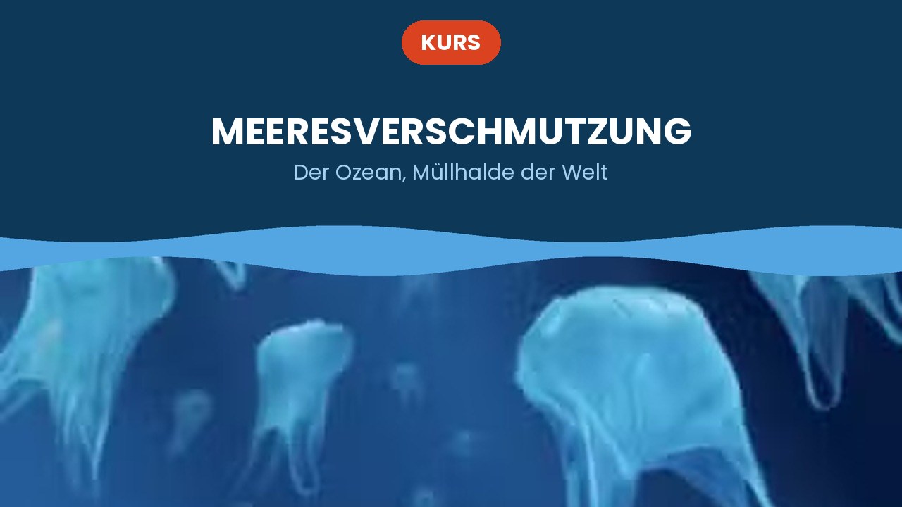 Meeresverschmutzung – Kurs