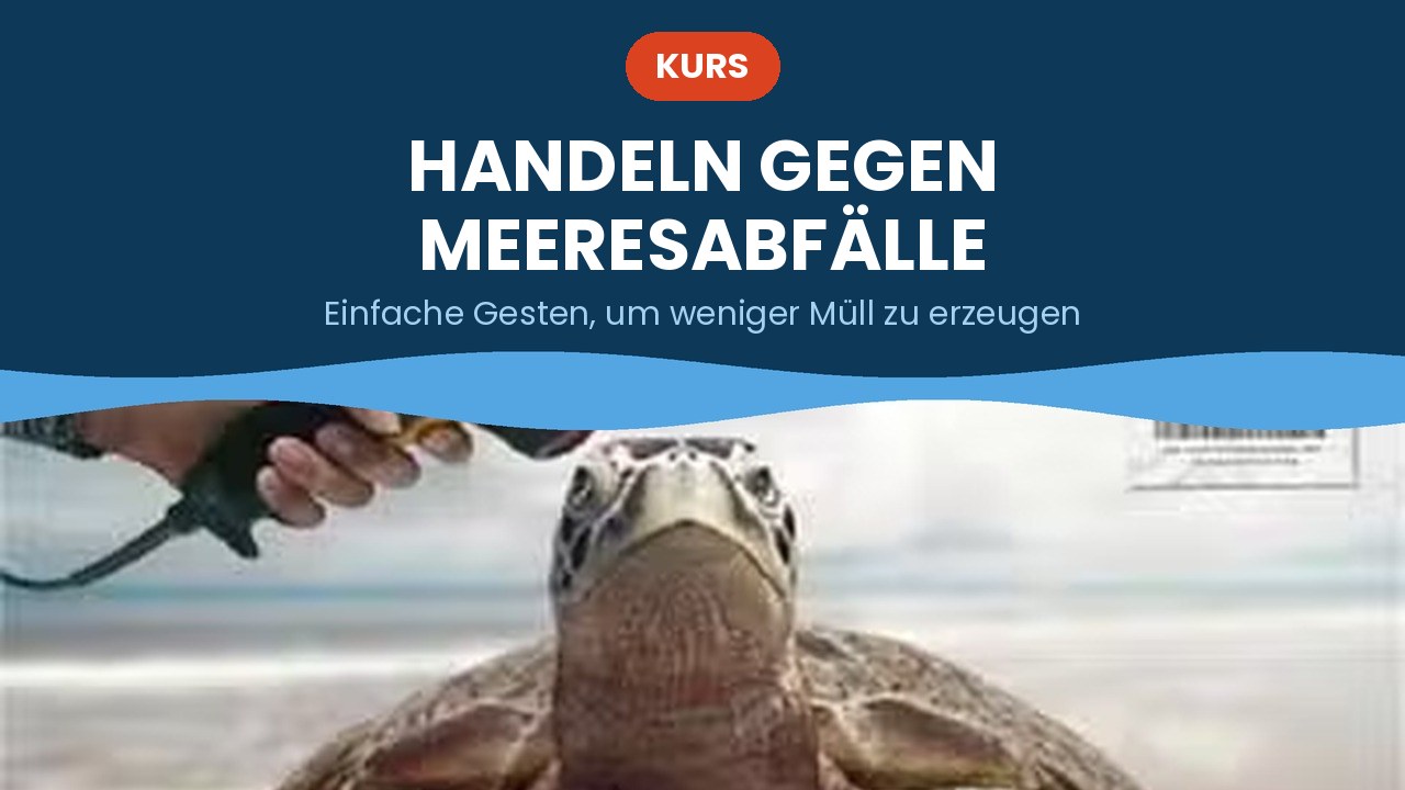 Handeln gegen Meeresabfälle – Kurs