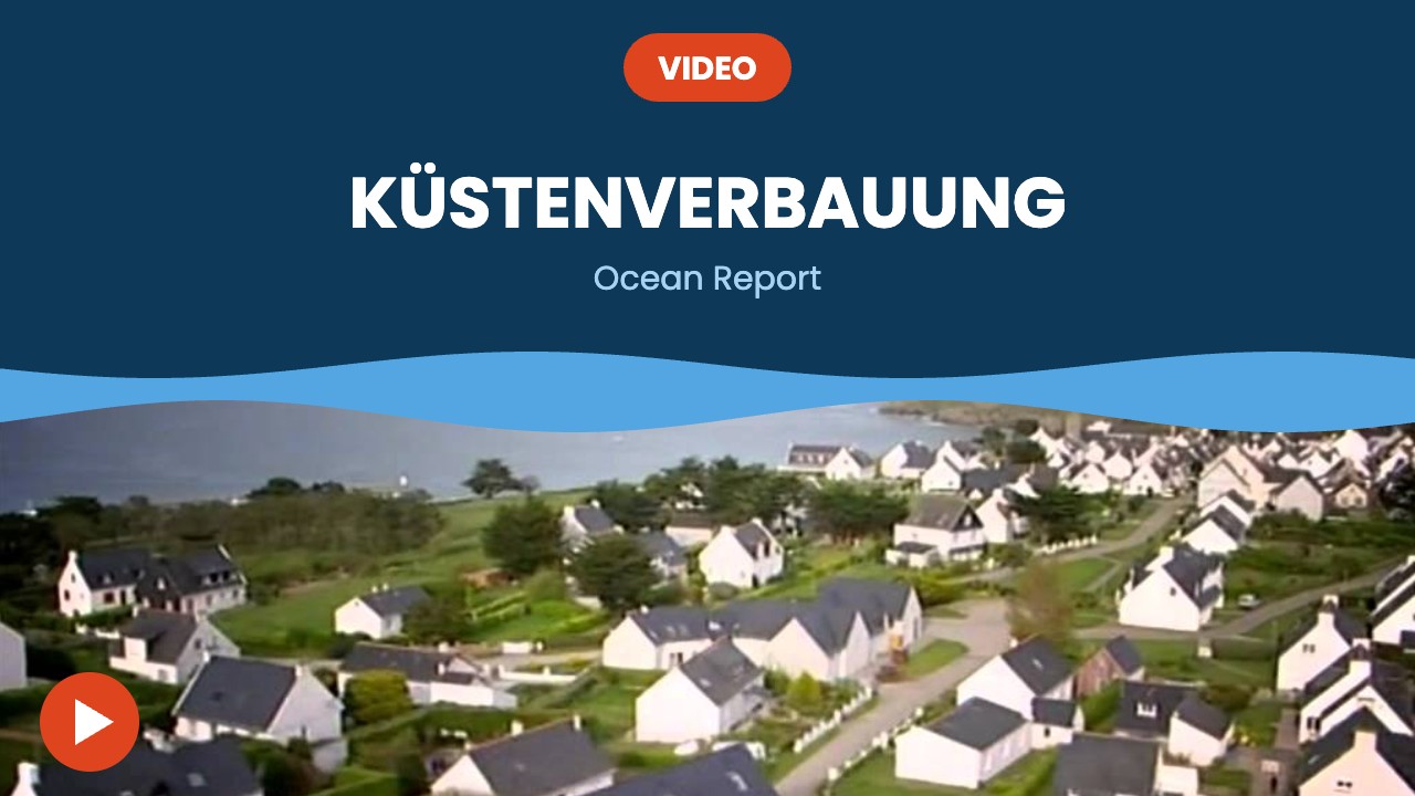 Küstenverbauung – Video