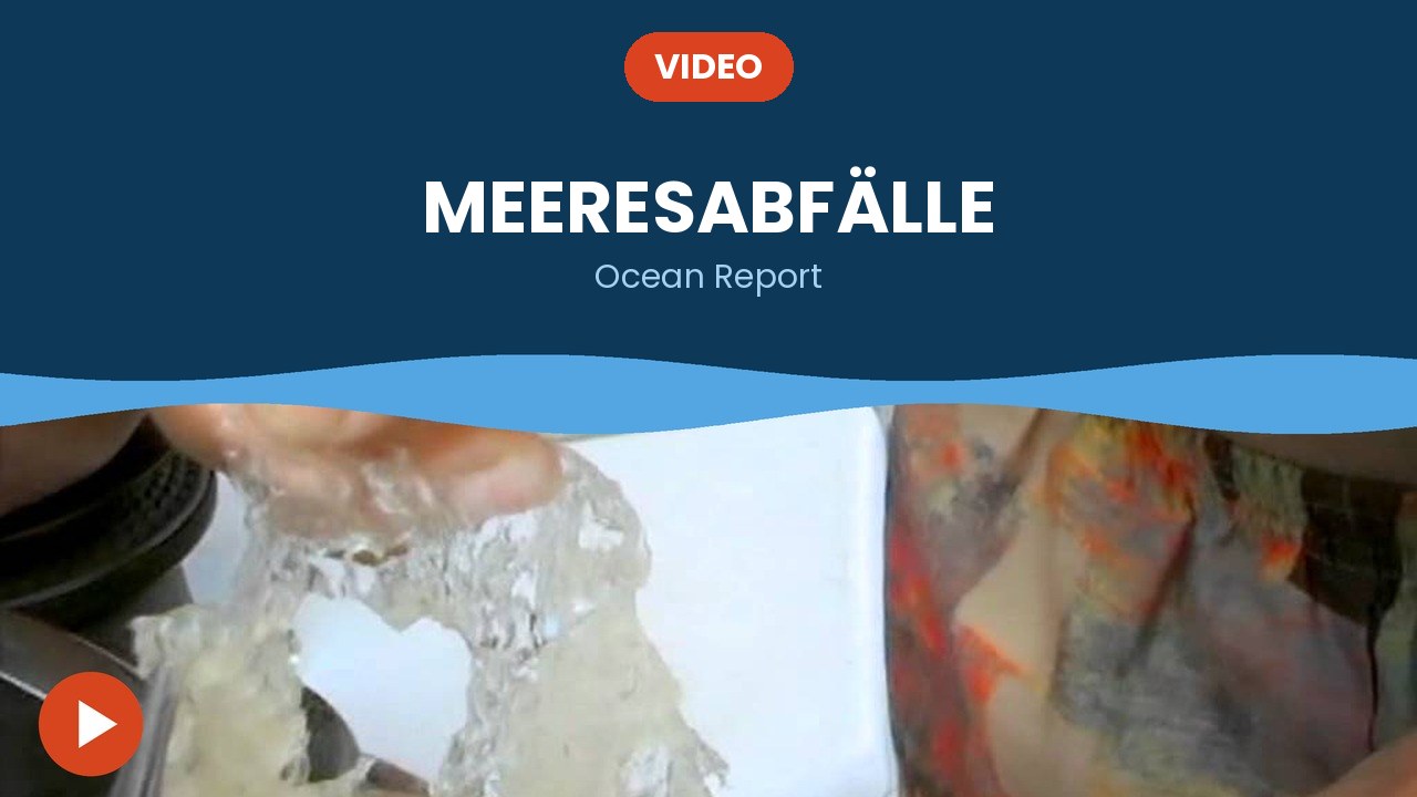 Meeresabfälle – Video