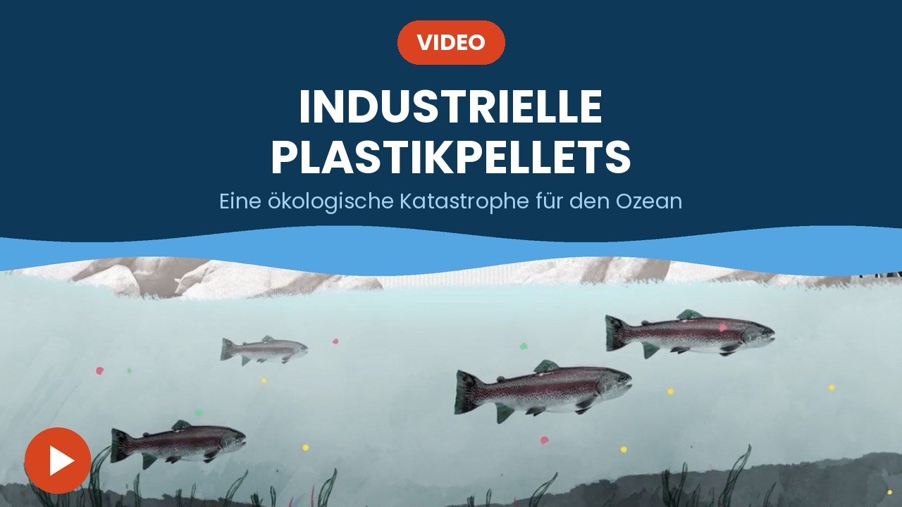 Industrielle Plastikpellets – Video