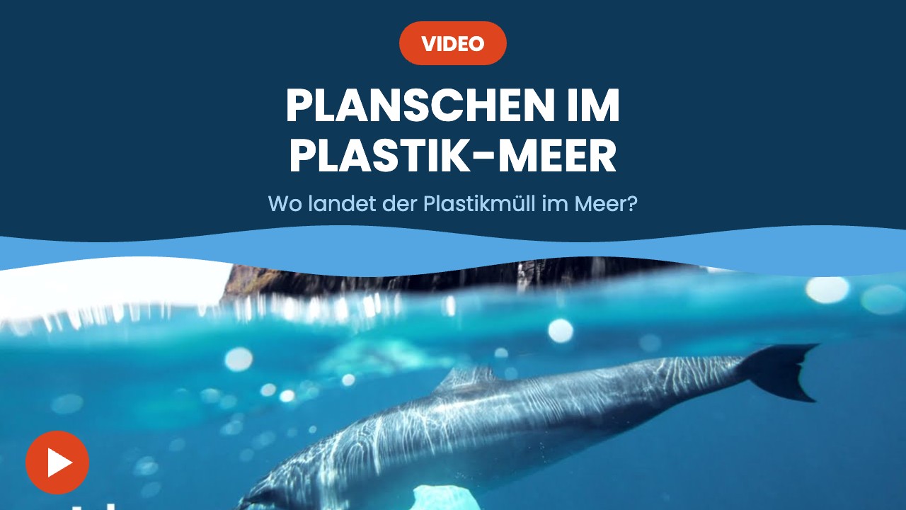 Planschen im Plastik-Meer – Video