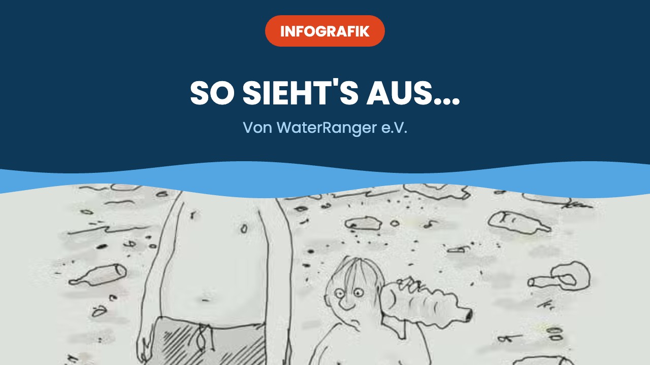 So sieht's aus... – Infografik
