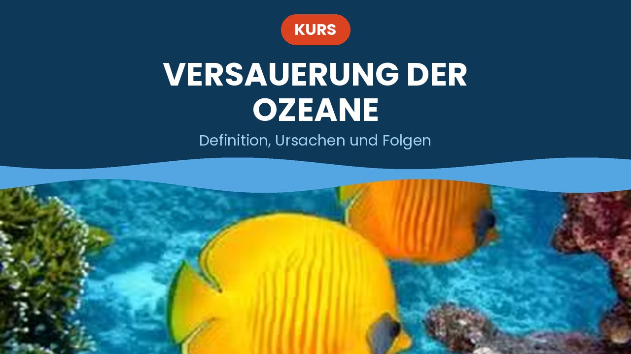 Versauerung der Ozeane – Kurs