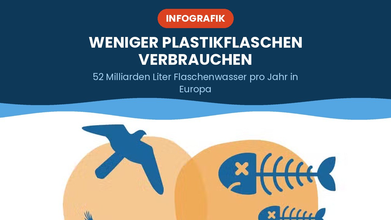 Weniger Plastikflaschen verbrauchen – Infografik