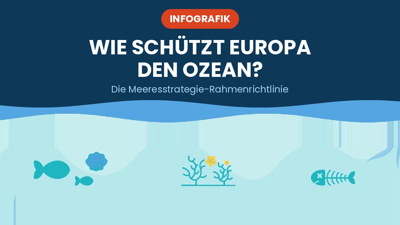 Wie schützt Europa den Ozean? – Infografik