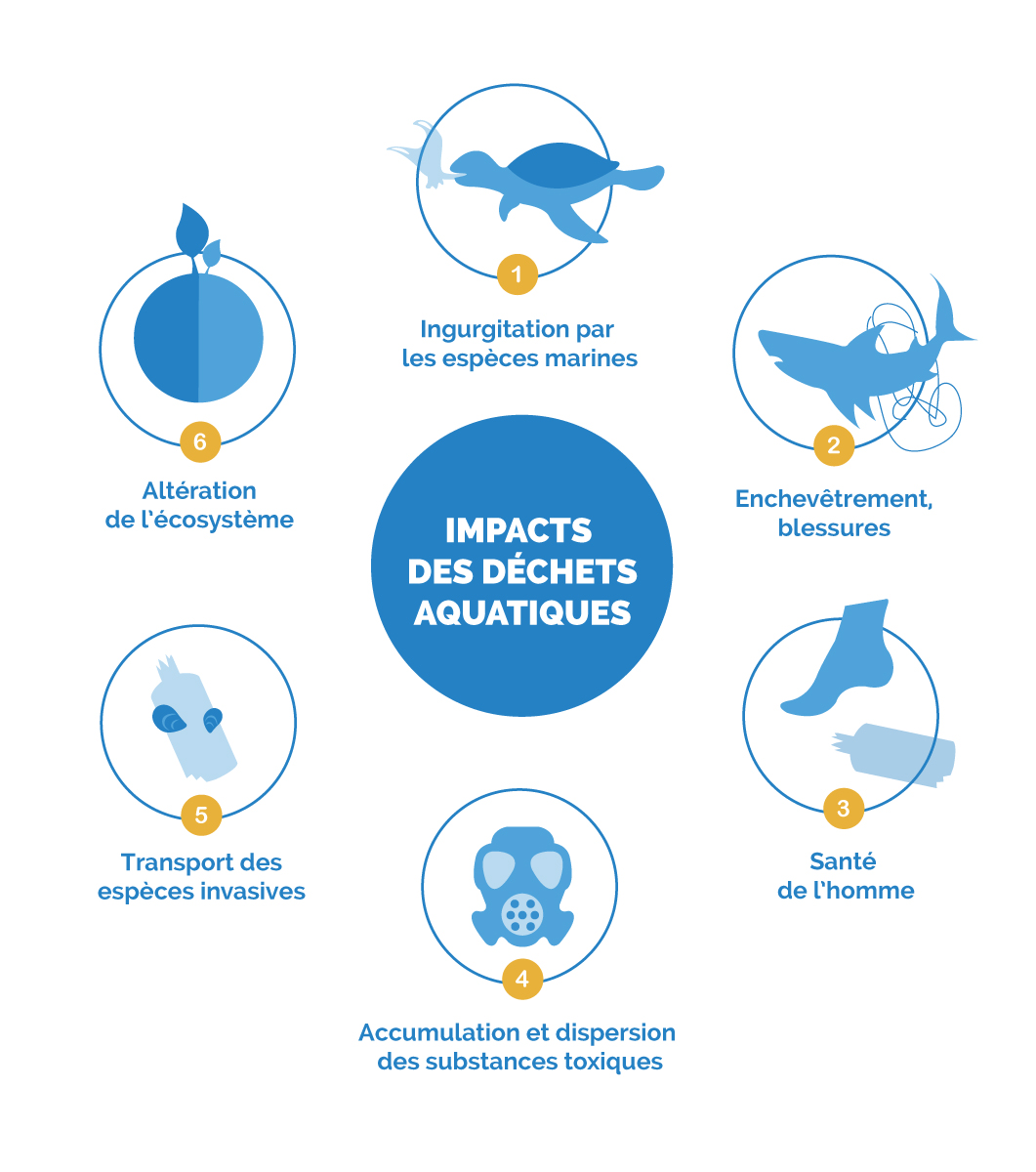 illustration des impacts des déchets aquatiques surfrider Non aux sacs plastique
